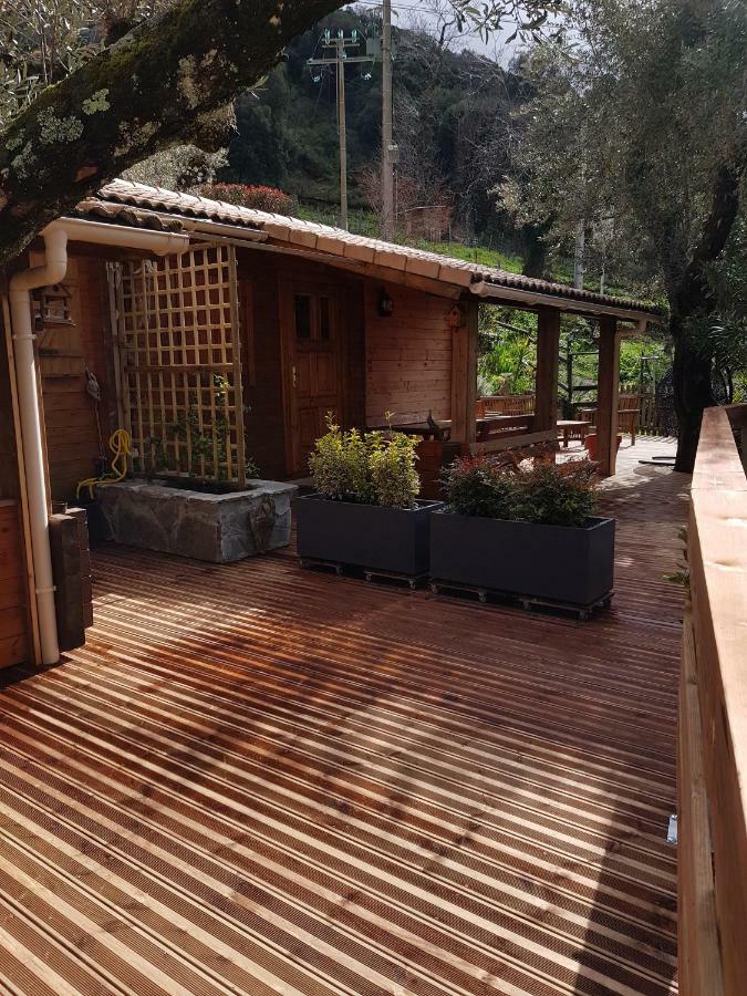 Le Chalet De Valentine & Laurent Olmiccia Ngoại thất bức ảnh
