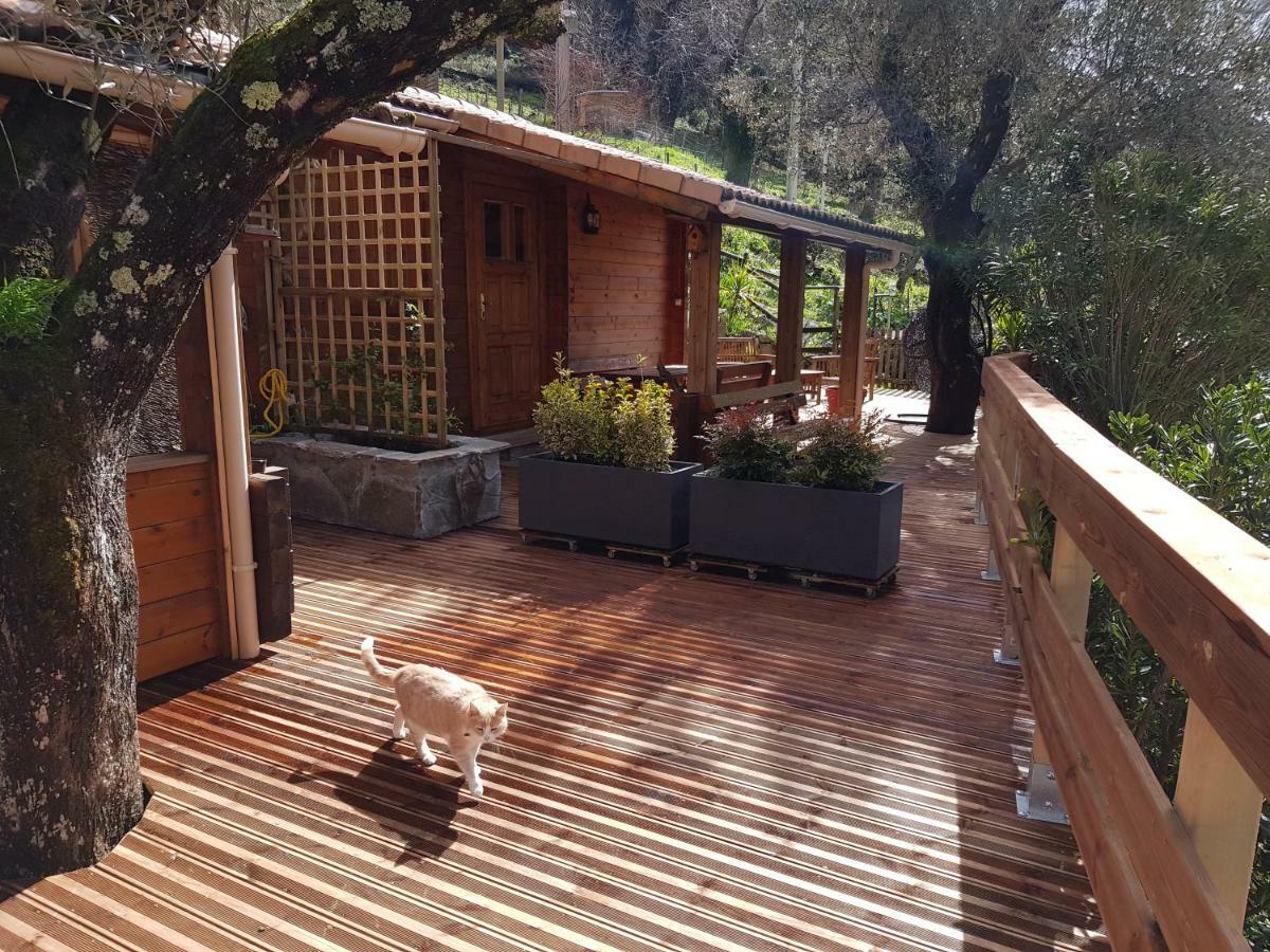 Le Chalet De Valentine & Laurent Olmiccia Ngoại thất bức ảnh
